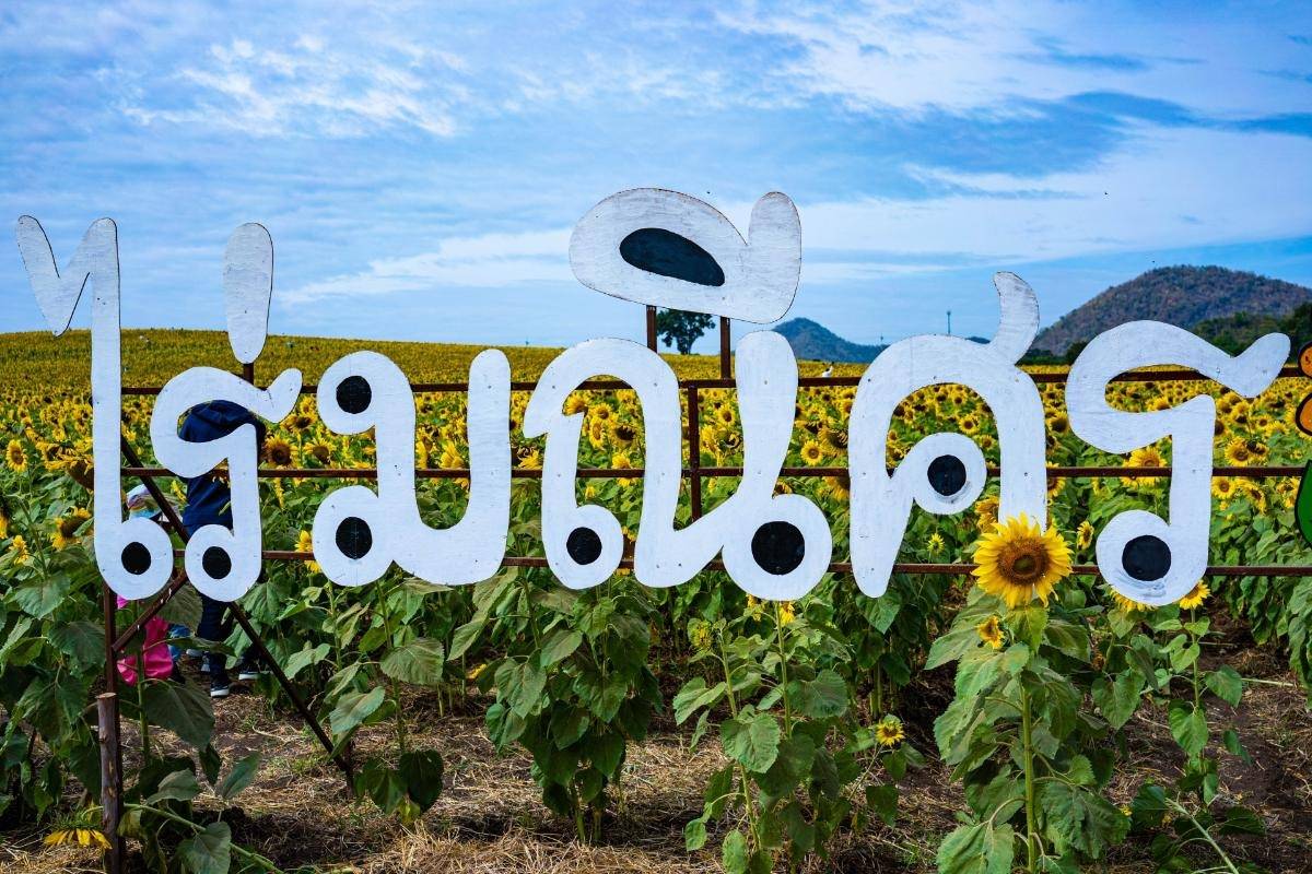 タイ語の否定疑問文、命令文、依頼文まで、例文付きでわかりやすく解説